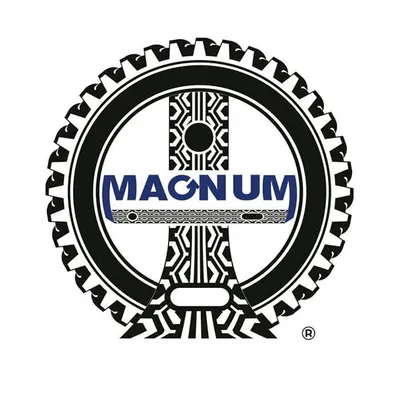 magnum.com.ro's icon