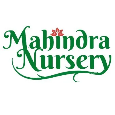 mahindranursery.com's icon
