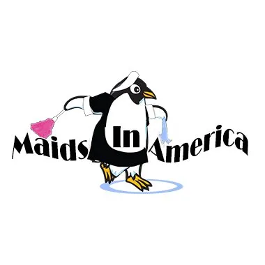 maidsinamericanow.com's icon