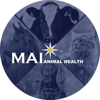 maigenesis.com's icon