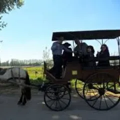 maipovalleywinetours.com's icon