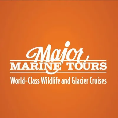 majormarine.com's icon