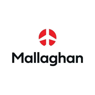 mallaghangse.com's icon