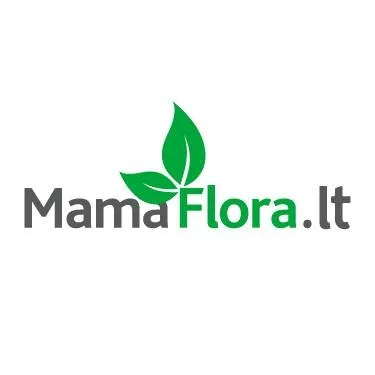 mamaflora.lt's icon