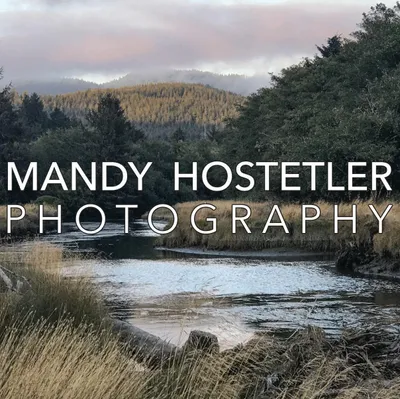 mandyhostetlerphotography.com's icon