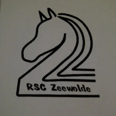 manegezeewolde.nl's icon