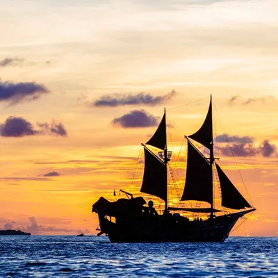 mantamaecharter.com's icon