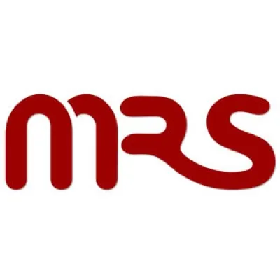 maralrobot.com's icon
