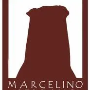 marcelinoserrano.com's icon