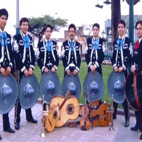 mariachisperu.com's icon