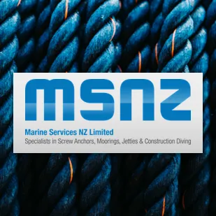 marineservicesnz.com's icon