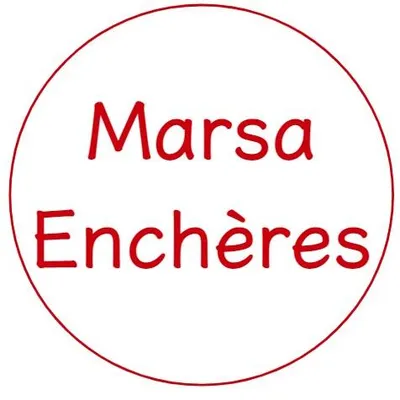 marsa-encheres.com's icon