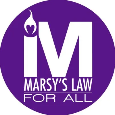 marsyslaw.us's icon