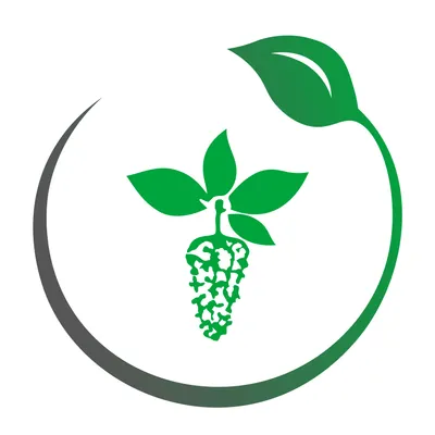 maruplast.com's icon