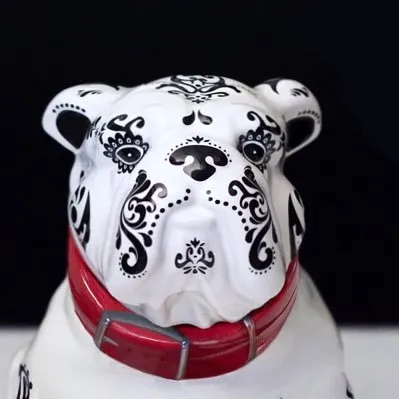 mascotatequila.com's icon