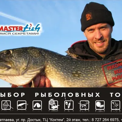 master-fish.kz's icon