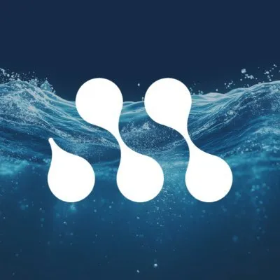 masterspas.com's icon