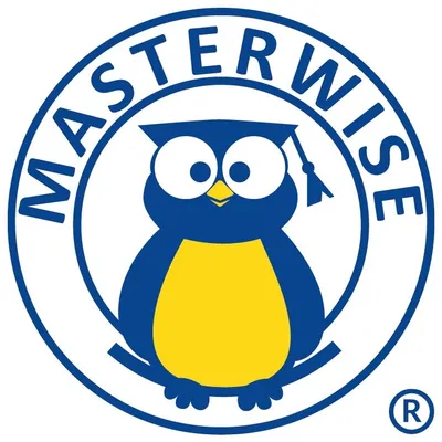 masterwise.cl's icon