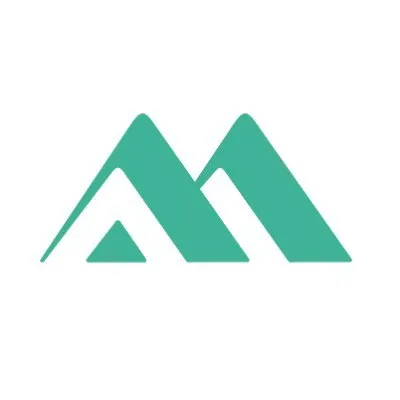 mavenwireless.com's icon