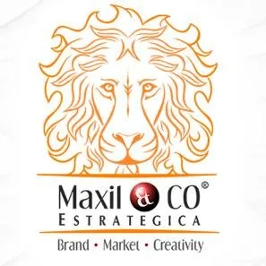 maxilco.com's icon