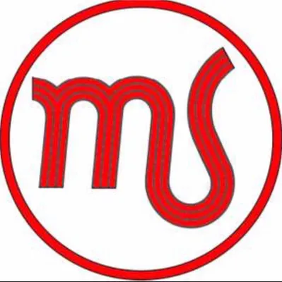 maxstern.com.au's icon