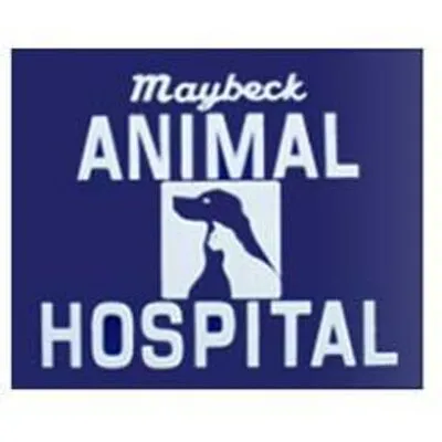 maybeckvet.com's icon