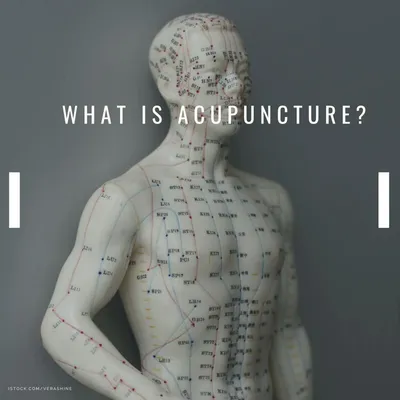 mayfloweracupuncture.com's icon