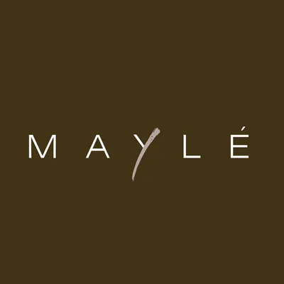 maylevasquez.com's icon