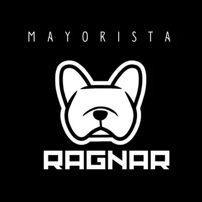 mayoristaragnar.cl's icon