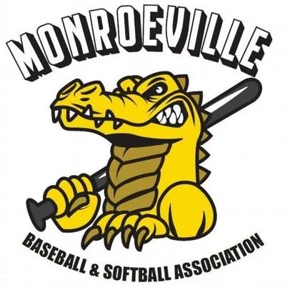 mbsagators.com's icon