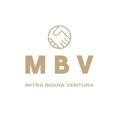 mbv-group.com's icon