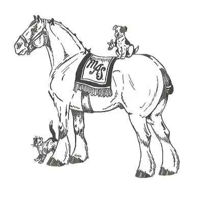 meadowlawnvet.com's icon