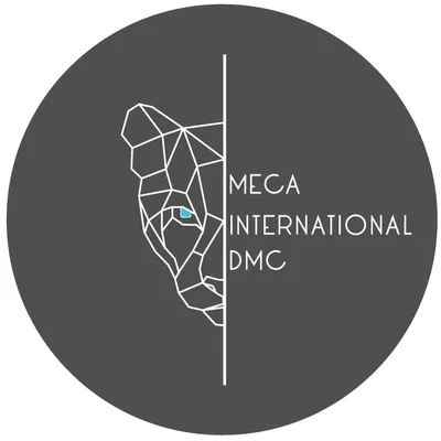 mecainter.com's icon