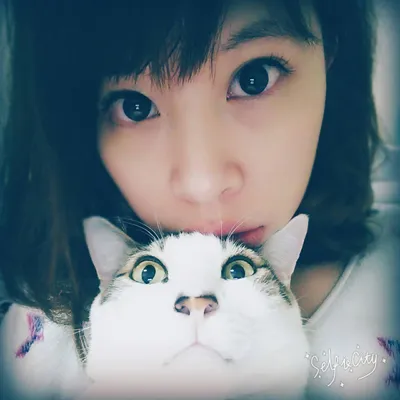 mecocute.com's icon