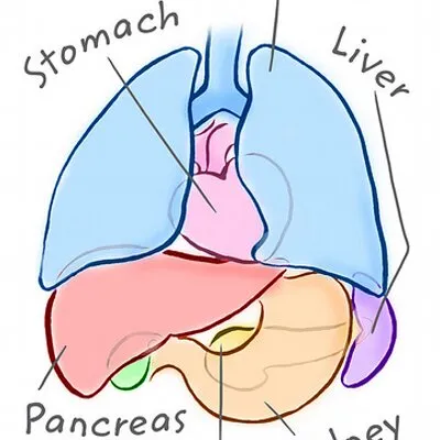 medchrome.com's icon