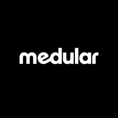 medular.cl's icon