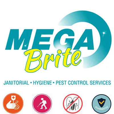 megabrite-tt.com's icon