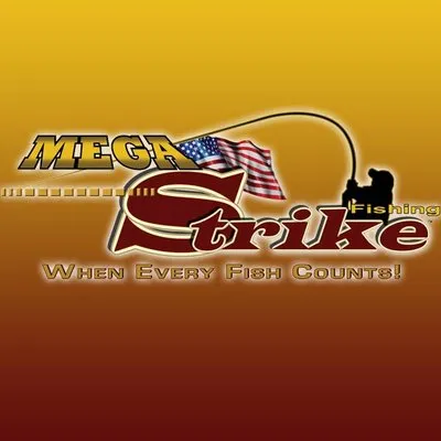 megastrike.com's icon