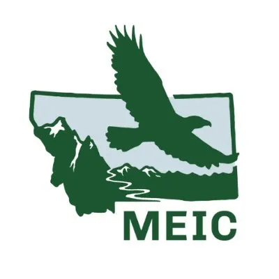 meic.org's icon