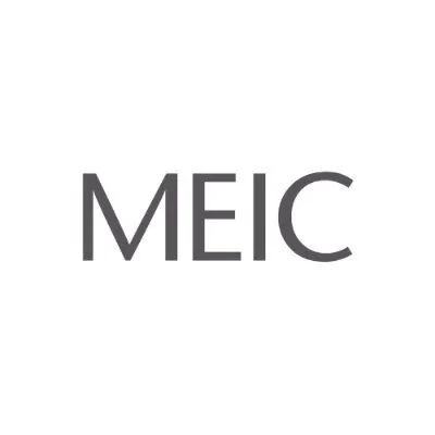 meicltd.com's icon
