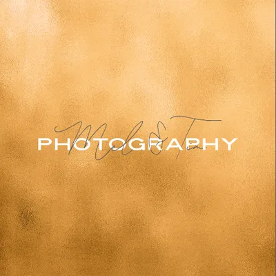 melandtimphotography.com's icon