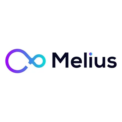 meliusservices.com's icon