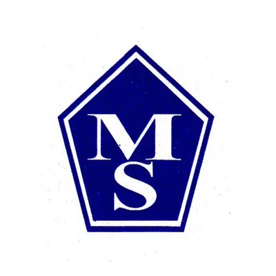 memonsecurities.com's icon