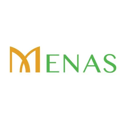 menasvietnam.com's icon