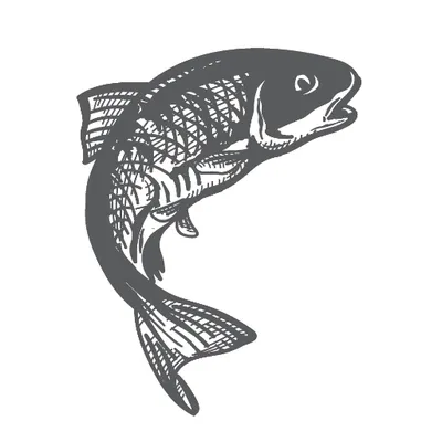 meretrout.com's icon