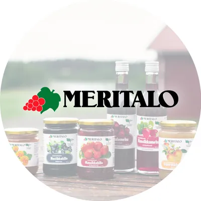 meritalo.com's icon