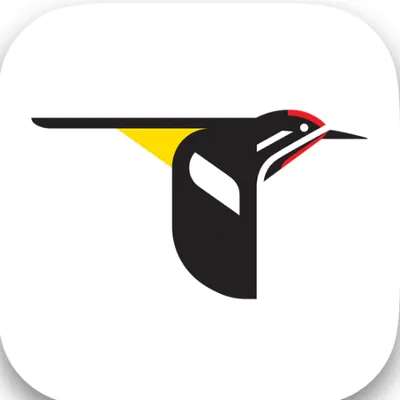 merlinbirdid.com's icon