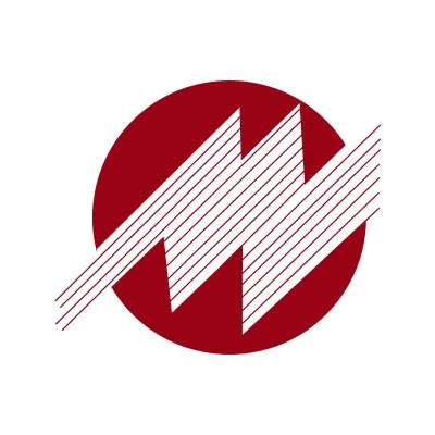 merquiand.com's icon