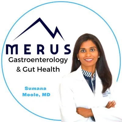 merusgastro.com's icon