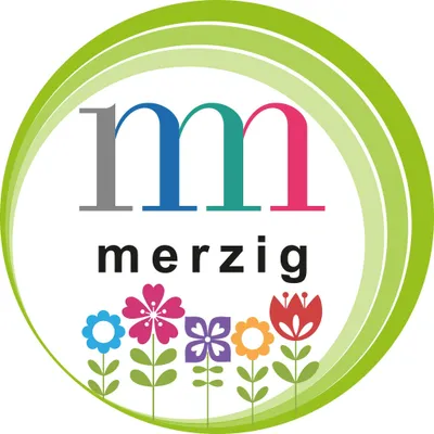 merzig.de's icon